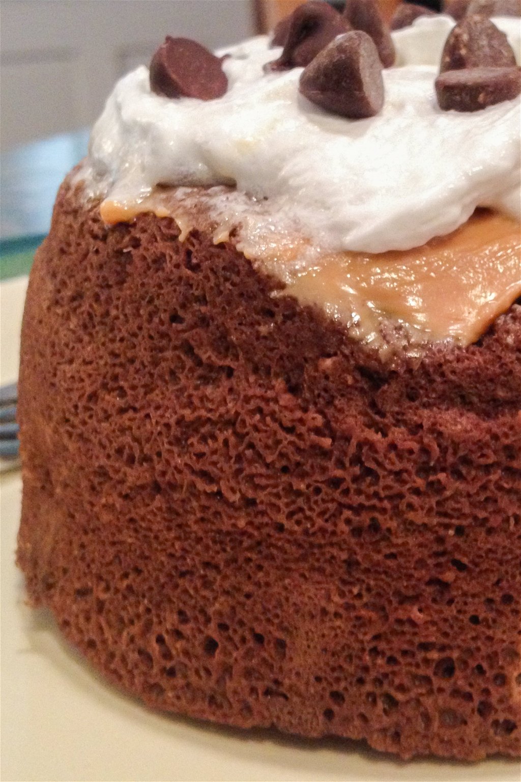 Bariatric Eating: Inspire Dutch Chocolate Cake Protein Powder