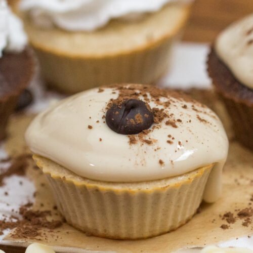 Chocolate or Vanilla Protein Cupcakes Recipe