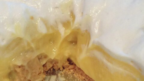 Cutler Nutrition Total Protein Banana Cream Pie