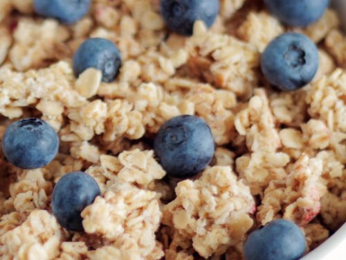 Protein Cereal And Protein Oatmeal Recipes The Protein Chef