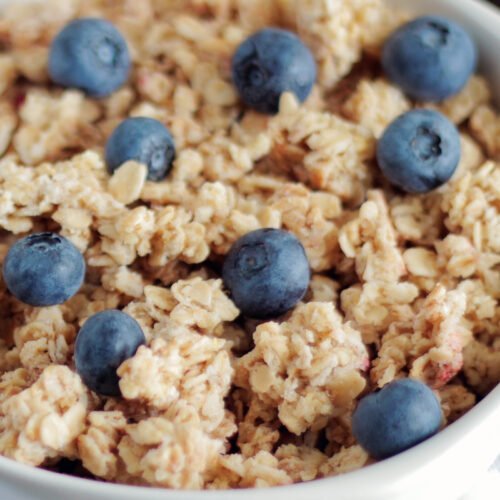 Protein Cereal and Protein Oatmeal Recipes