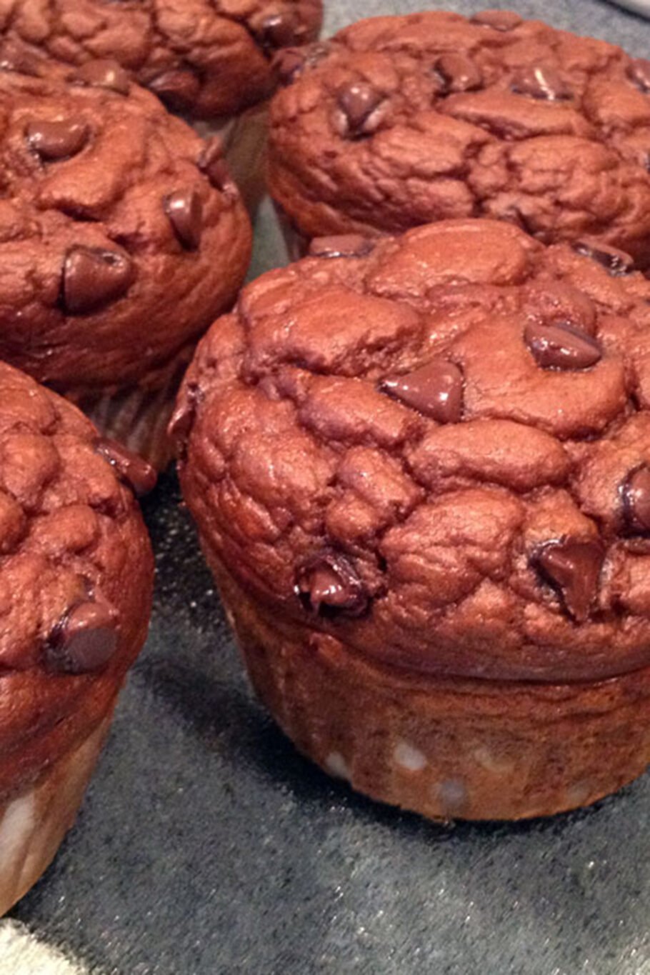 Protein Pumpkin Chocolate Chip Muffins Recipe