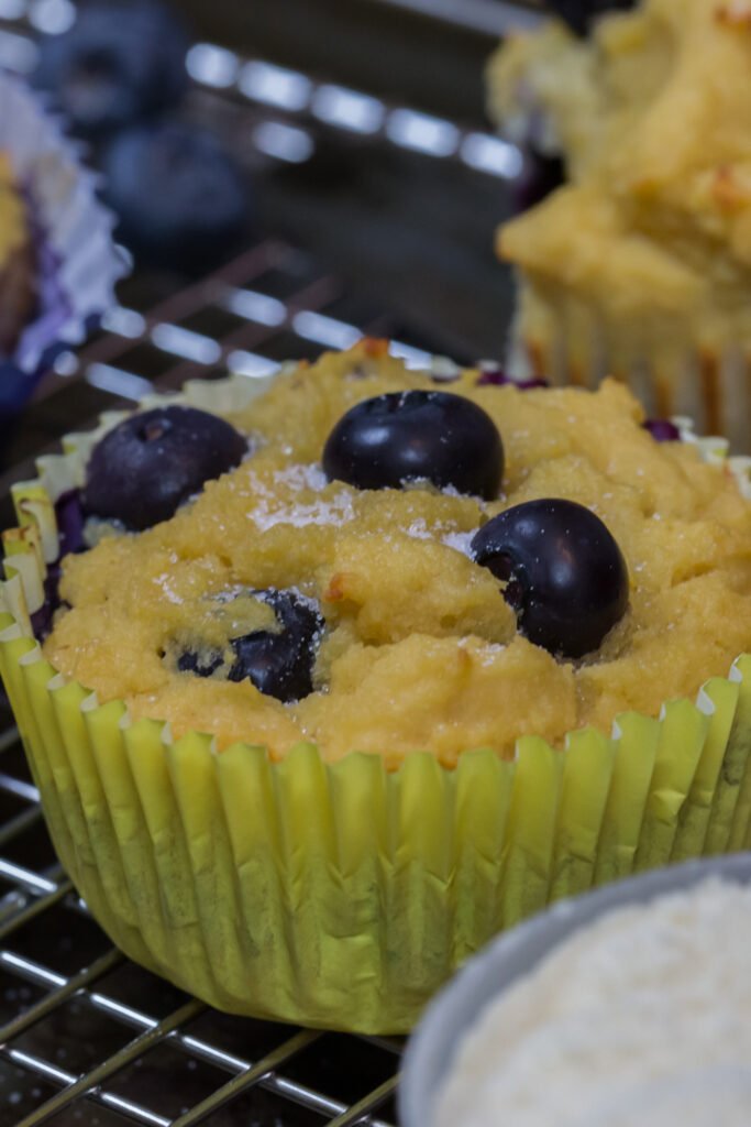 easy-protein-blueberry-muffins-recipe-the-protein-chef