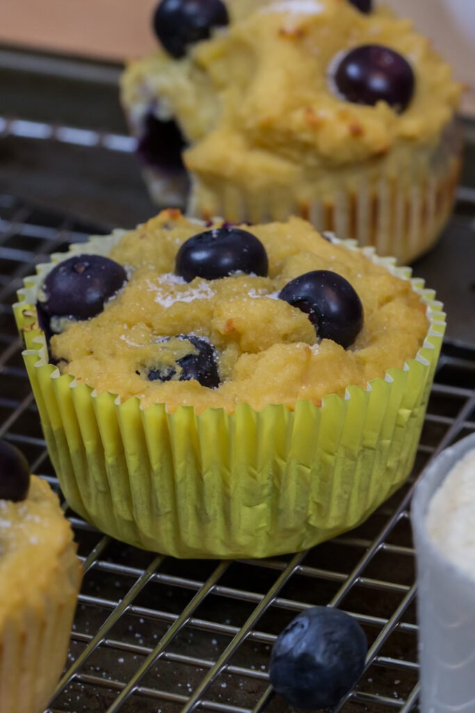 Easy Protein Blueberry Muffins Recipe The Protein Chef