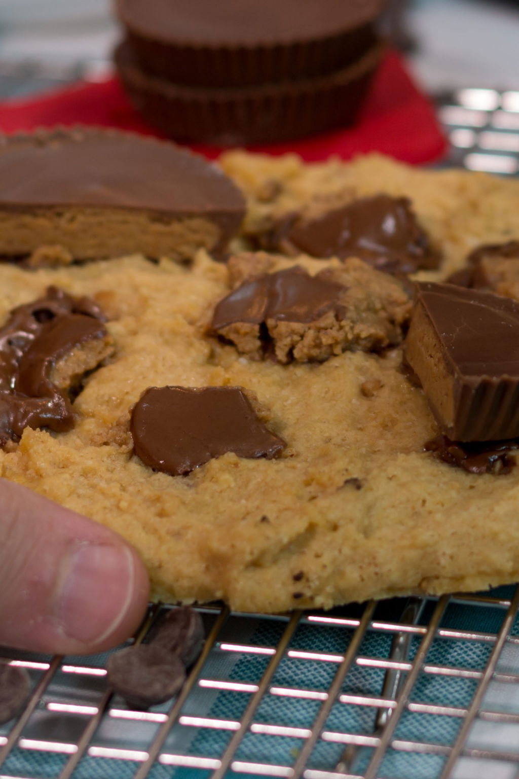 1 Minute Microwave Low Carb Cookies Recipe The Protein Chef