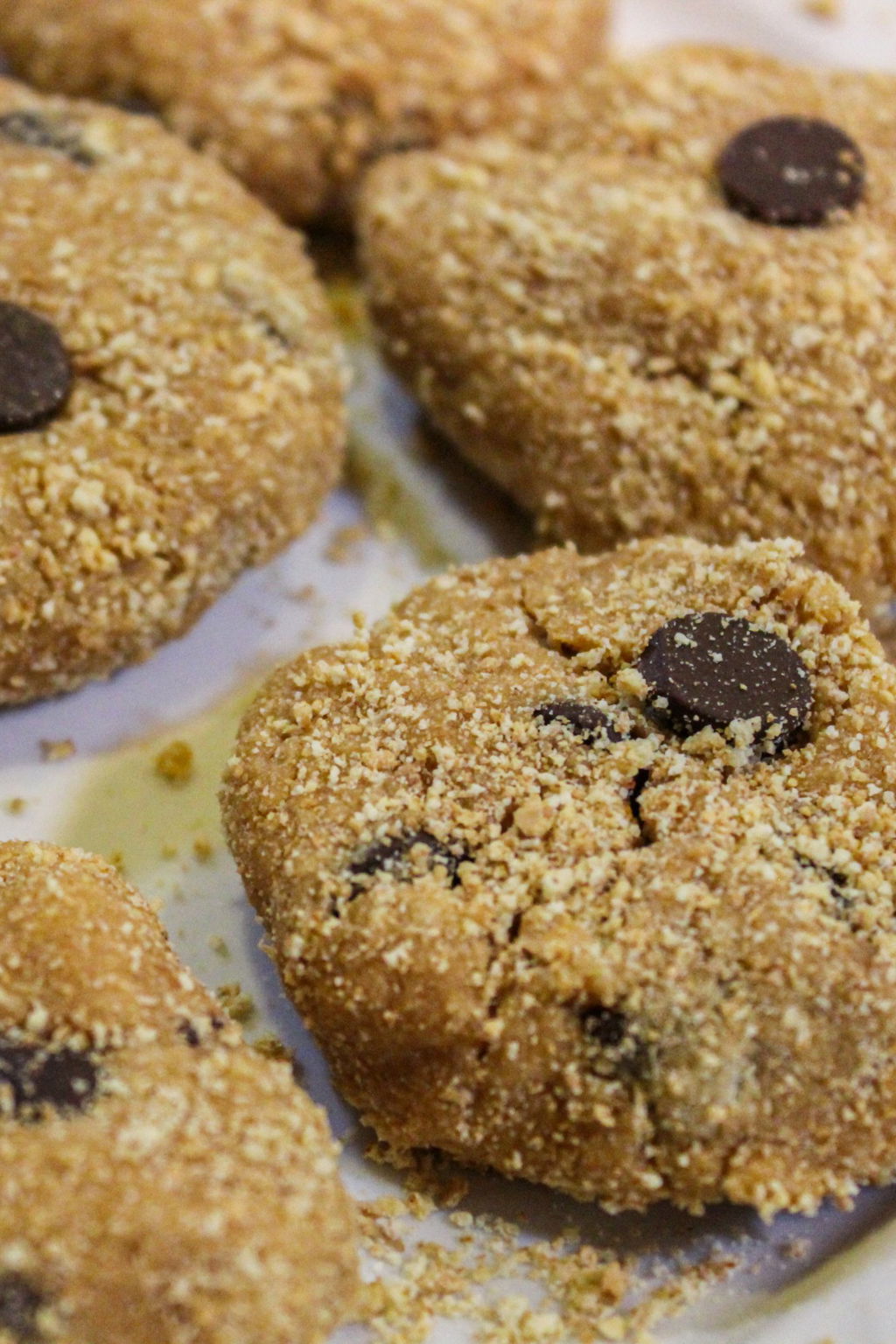 Chocolate Chip Cookie Dough Protein Bites Recipe The Protein Chef