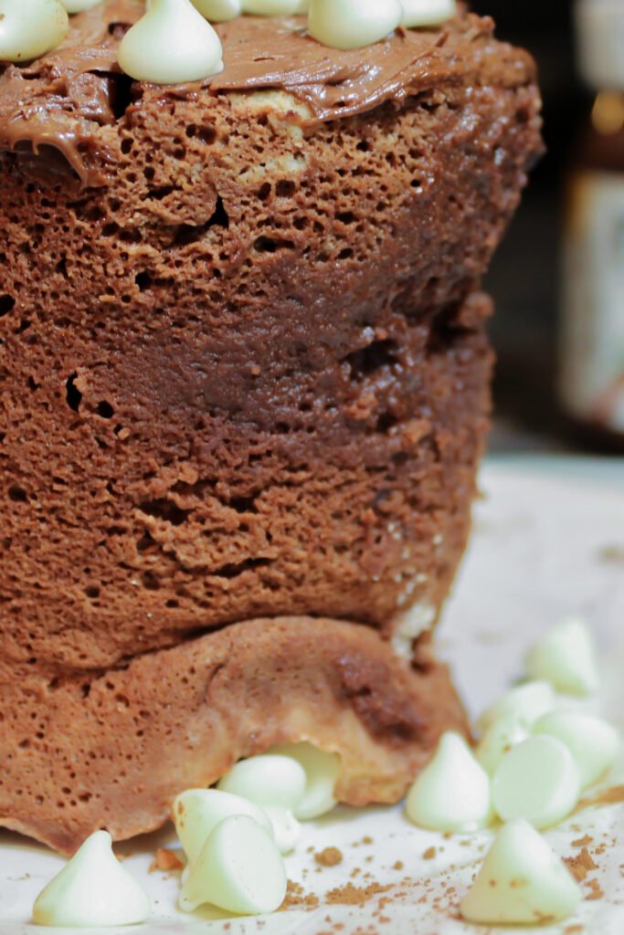 Nutella Protein Mug Cake Recipe The Protein Chef