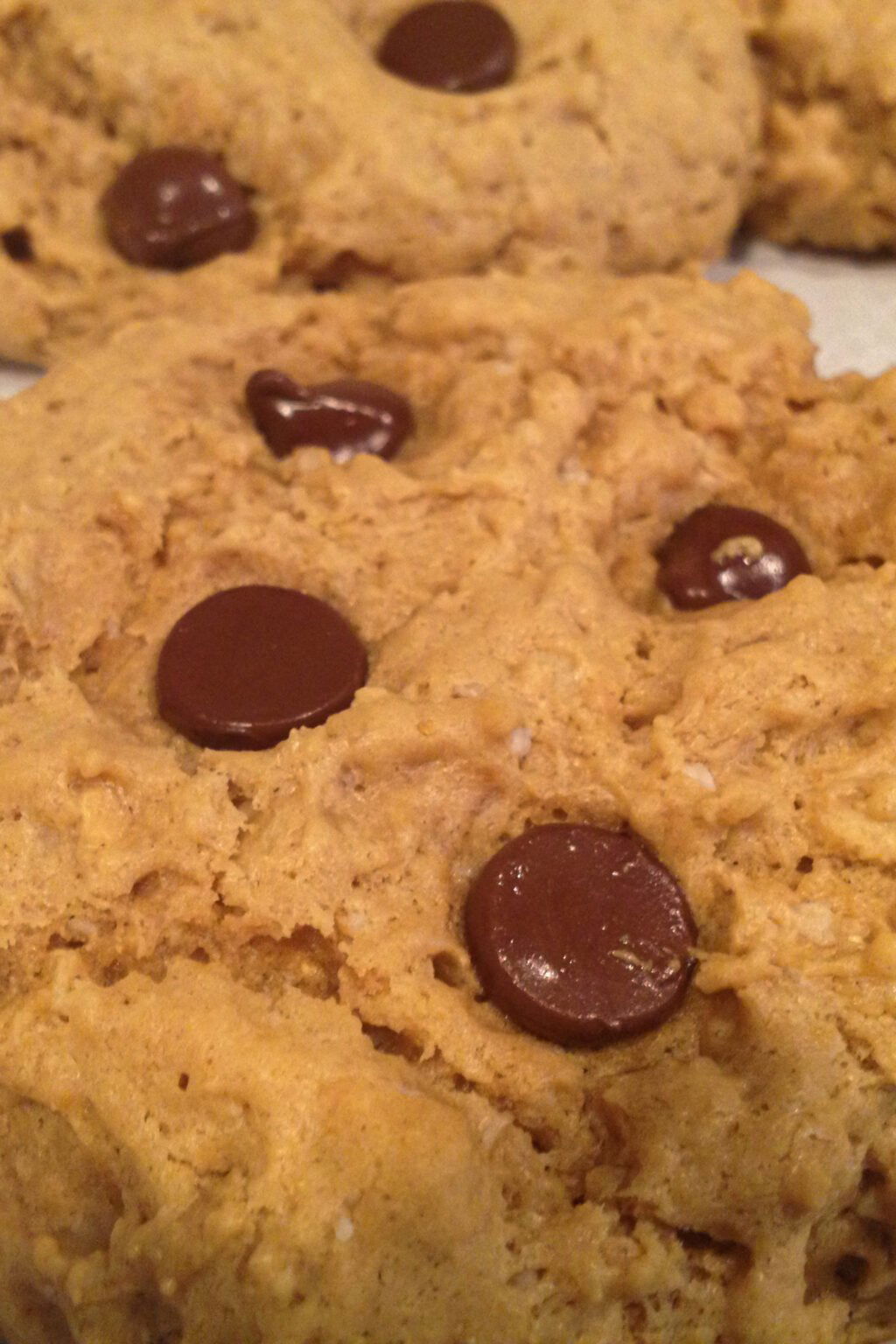 Protein Peanut Butter Cookies Recipe The Protein Chef
