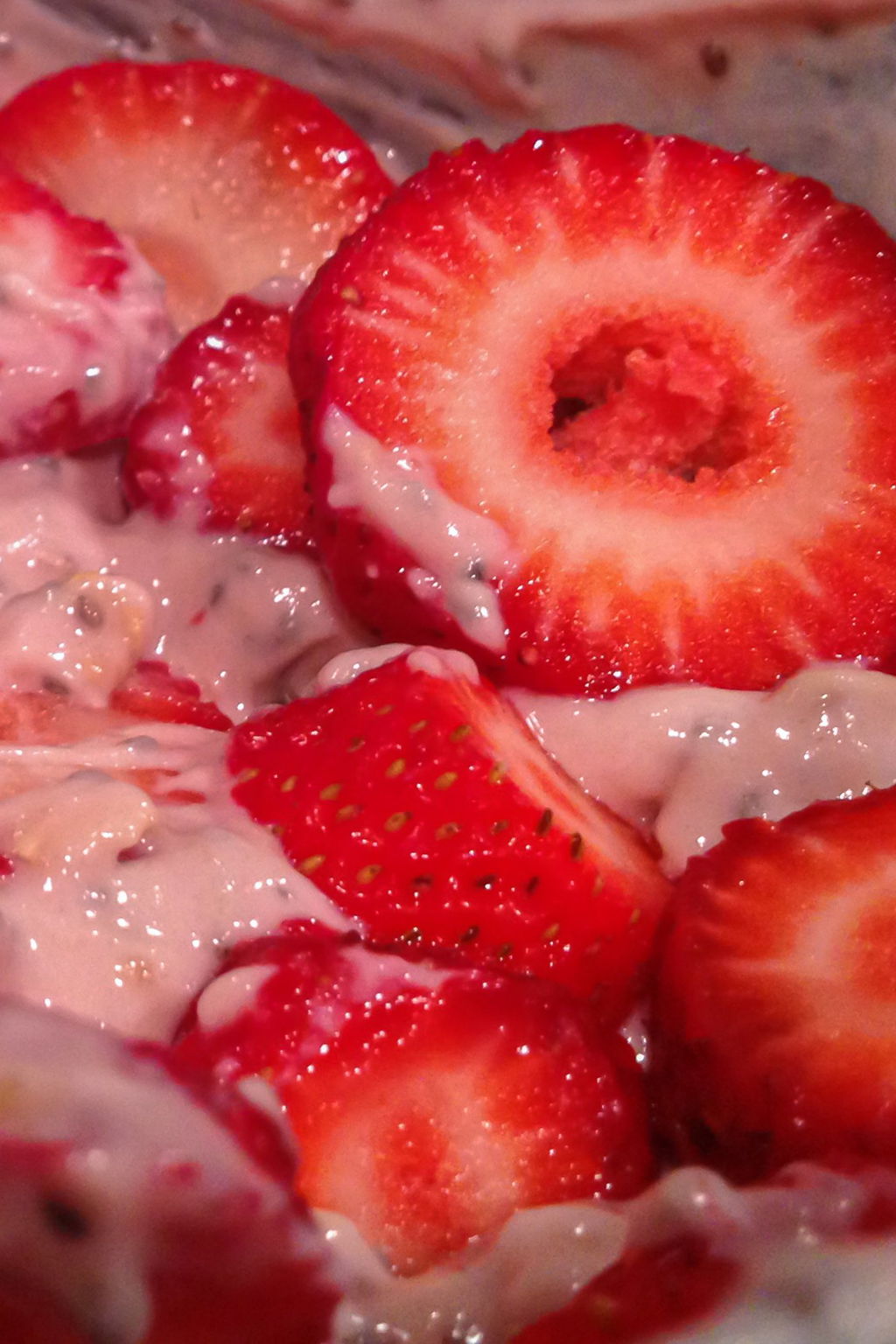 Protein Yogurt Granola Recipe The Protein Chef