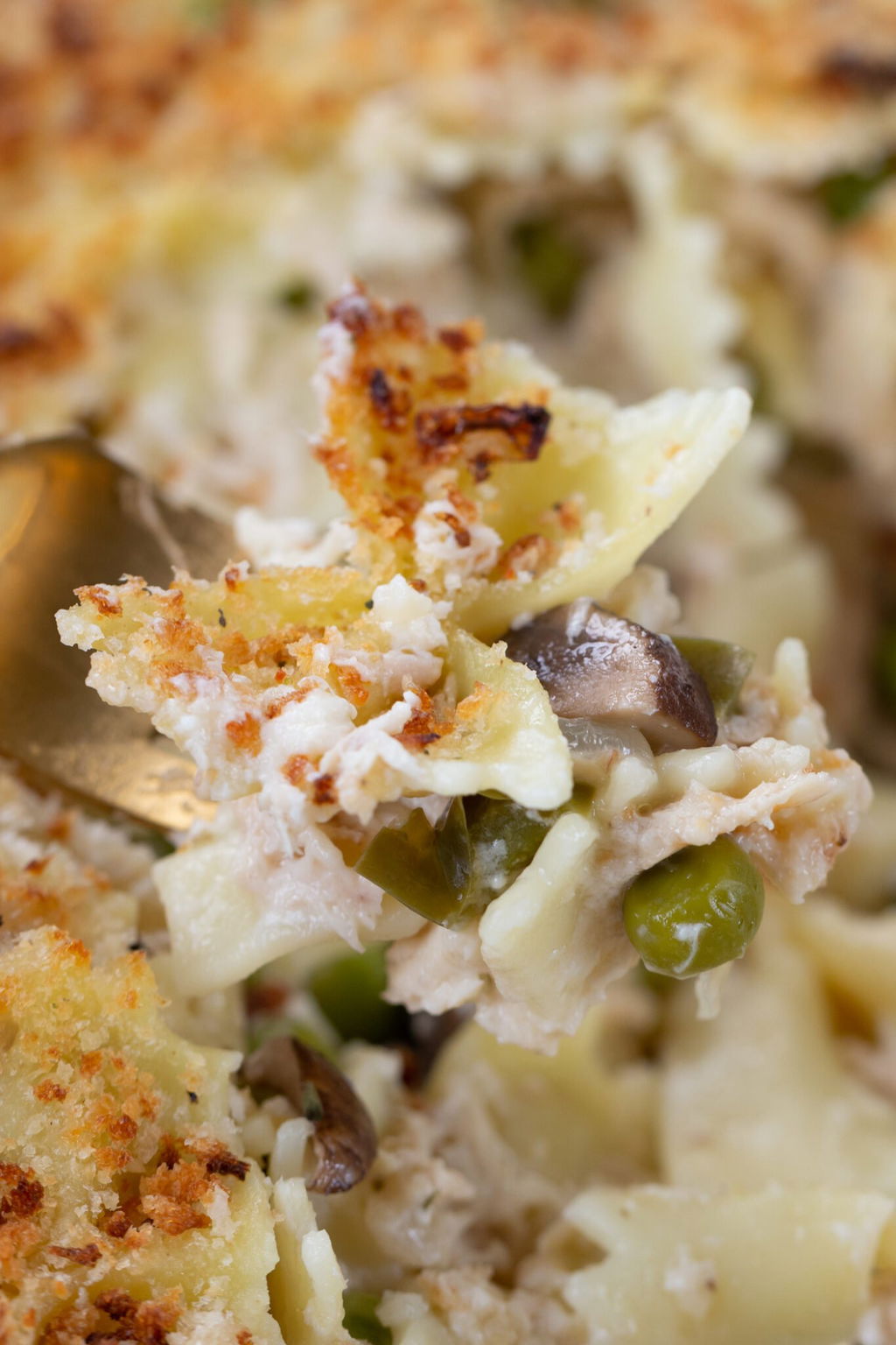 Easy Healthy Tuna Casserole Recipe - The Protein Chef