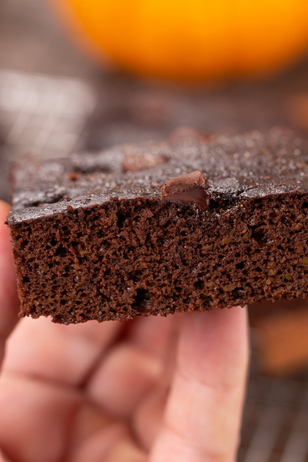 Low Carb Pumpkin
Brownies