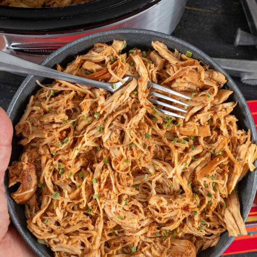 Slow Cooker Honey Garlic Chicken Recipe