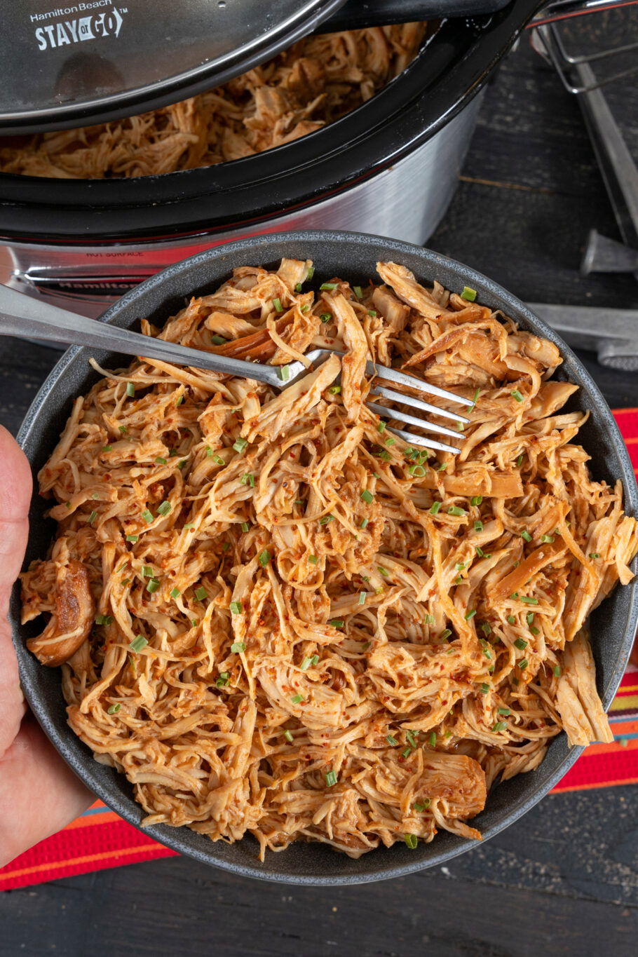 Slow Cooker Honey Garlic Chicken Recipe