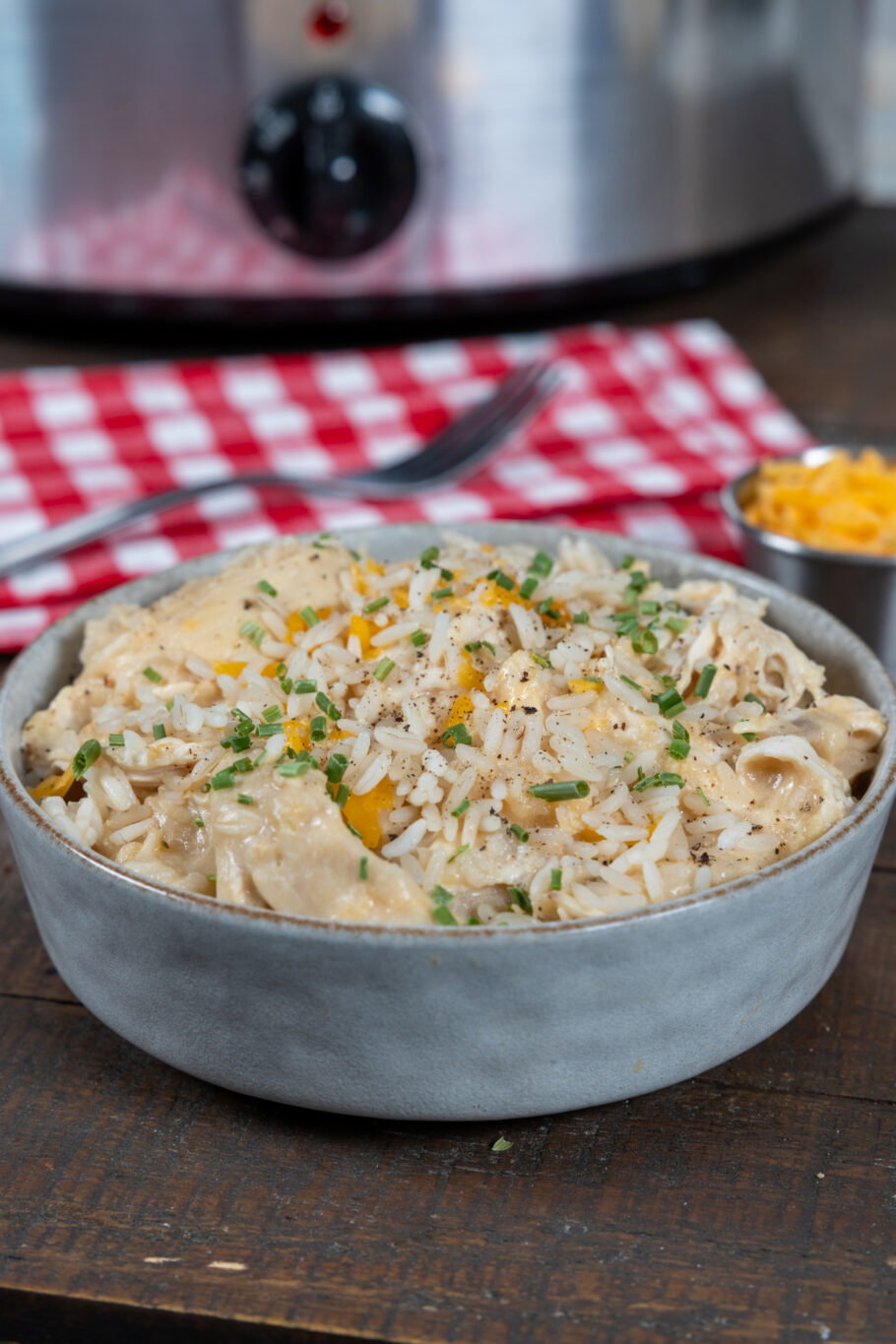 Slow Cooker Creamy Chicken and Rice Recipe